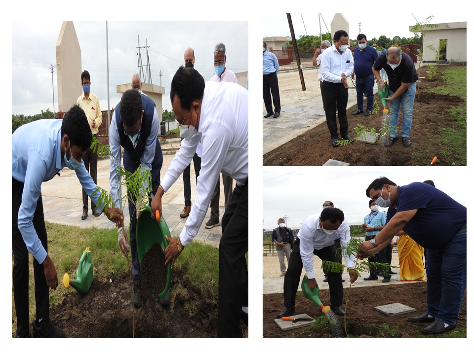 Tree Plantation Campaign