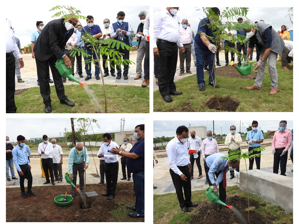 Tree Plantation Campaign